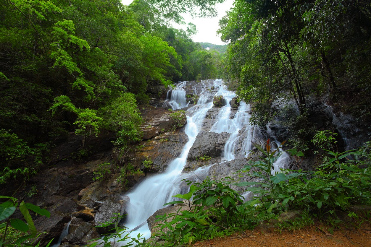 Tourist stuck in Thailand during pandemic falls 50ft to his death while taking selfies at waterfall
