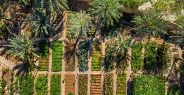 7 ways to be more eco-friendly when travelling