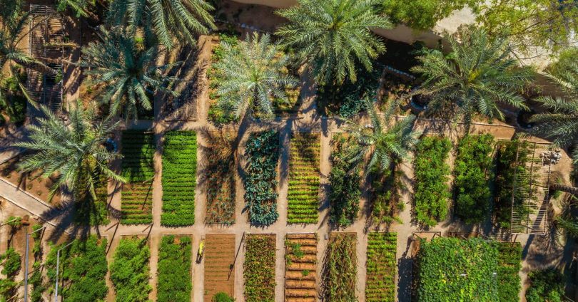 7 ways to be more eco-friendly when travelling