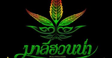 ครบรอบ 26 ปี บนเส้นทางดนตรี “มาลีฮวนน่า” จัดคอนเสิร์ตใหญ่ “๒๖ ปี มาลีฮวนน่า เพื่อนกัญ ไว-ฉะ-กัญ”ระลึกทุกความทรงจำ ผ่านบทเพลงชีวิต!!