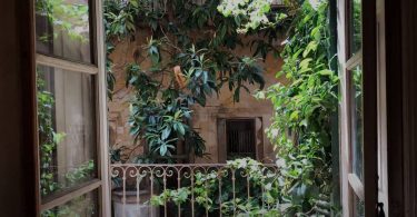 VIDEO: A postcard from Mallorca
