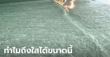 อ.เจษฎ์ ไขปริศนา “ทำไมทะเลหาดบางแสน ถึงน้ำใส ตอนหน้าหนาว”
