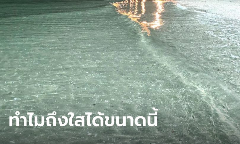 อ.เจษฎ์ ไขปริศนา “ทำไมทะเลหาดบางแสน ถึงน้ำใส ตอนหน้าหนาว”