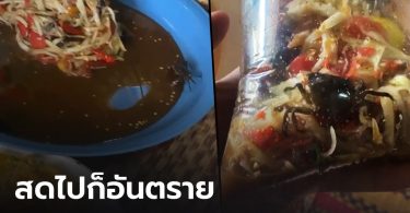 กรมอนามัย เตือน “ปูเดินในจานส้มตำ” สดไปก็อันตราย ปรุงไม่สะอาด-อาหารเป็นพิษ
