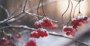 Thailand enters cold season today