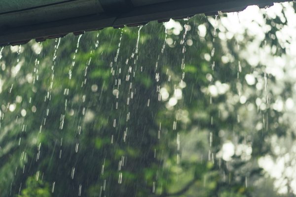 Very heavy rains to fall over most of Thailand as Typhoon Molave weakens