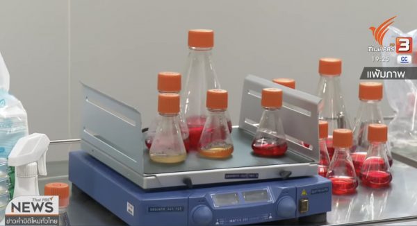 Thailand signs deal for advance procurement of COVID-19 vaccine