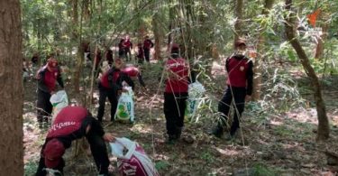 Environment Ministry launches project to convert dried leaves into solid fuel