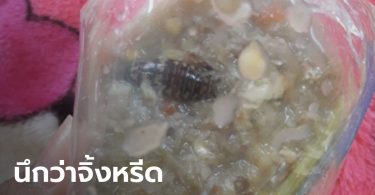 อวสานอาหารเช้า! น้ำพริกปลาร้าแถม “แมลงสาบ” มาทั้งตัว เห็นแล้วแทบอาเจียน