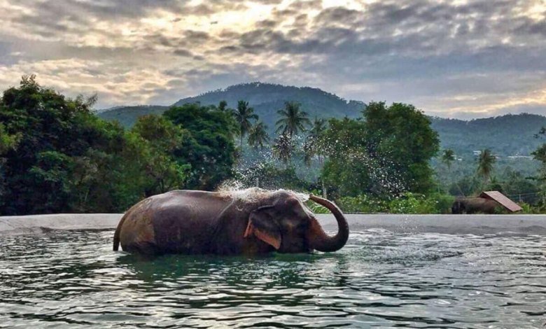 Twelfth Annual Responsible Thailand Awards recognises champions of sustainable travel