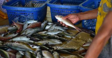 Thai and Laos government to discuss lifting seafood import ban