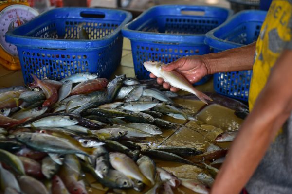 Thai and Laos government to discuss lifting seafood import ban