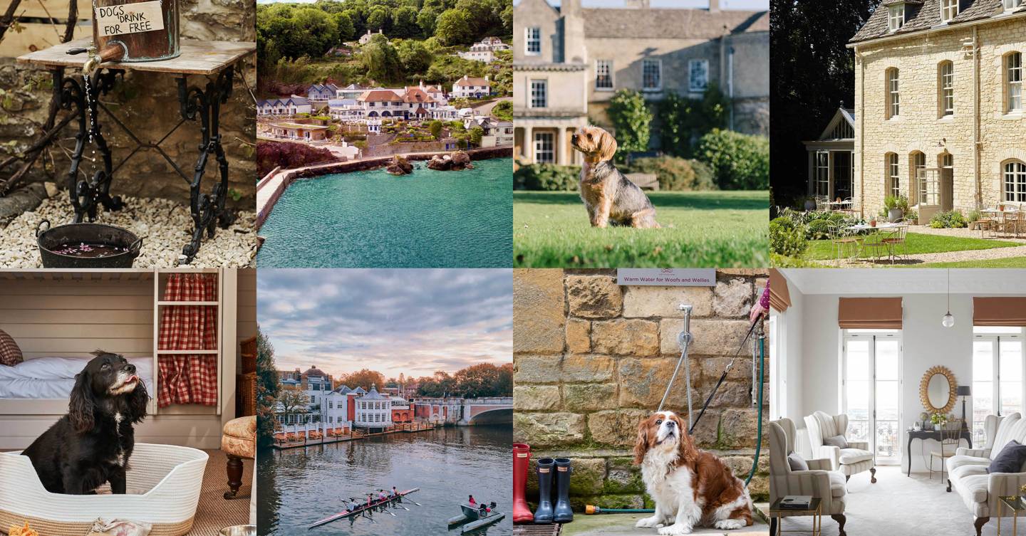 The best dog-friendly hotels in the UK