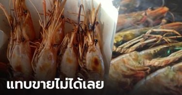 รอวันเน่า หรือเปลี่ยนเกม ทางออก “กุ้ง” บนสมรภูมิโควิด-19