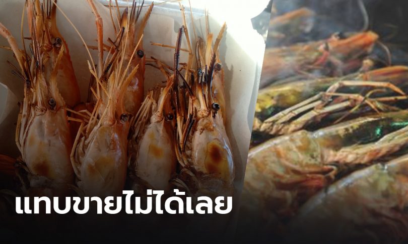 รอวันเน่า หรือเปลี่ยนเกม ทางออก “กุ้ง” บนสมรภูมิโควิด-19