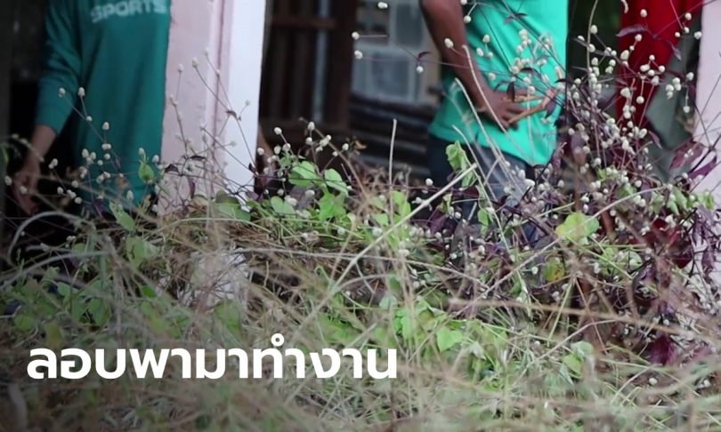 สกลนครลงดาบ นายจ้างลอบพาแรงงานต่างด้าวมาจากระยอง 8 คน สั่งกักตัวในที่พัก