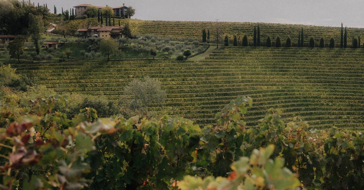 Chef Antonia Klugmann on Friuli – a secret foodie corner of Italy