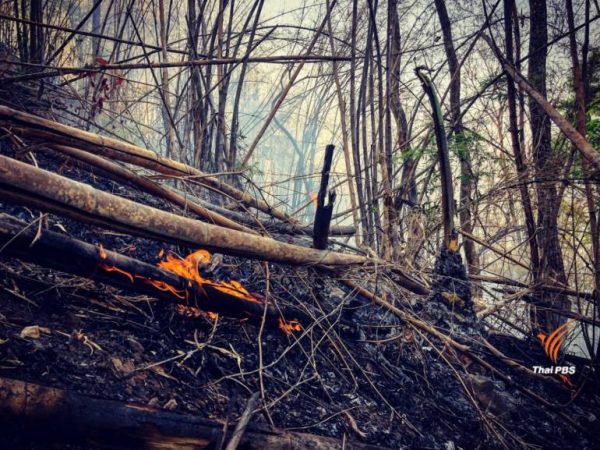Thai farmers to be told to stop burning farm waste or face legal action