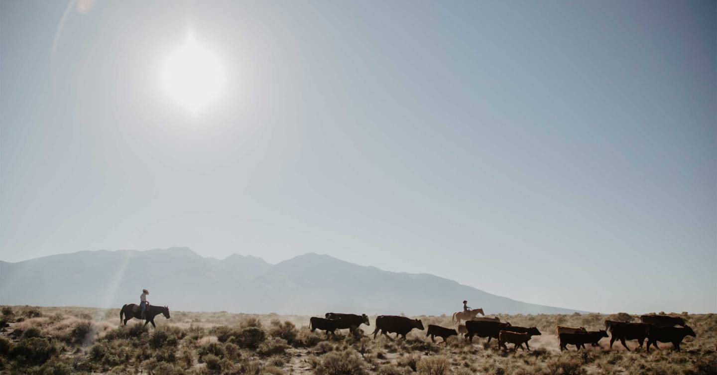 The best positive-impact farming initiatives around the world