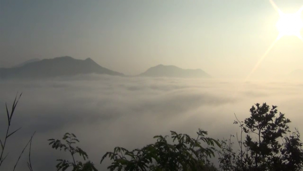 Two Thai provinces ease restrictions as no new COVID-19 infections found
