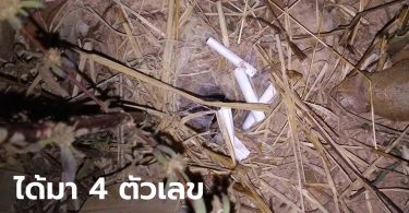 เลขเด็ด “เทพบึ้ง” มาแล้ว! ชาวบ้านไม่พลาดทำพิธีขอ ได้เลขมาถึง 4 ตัว