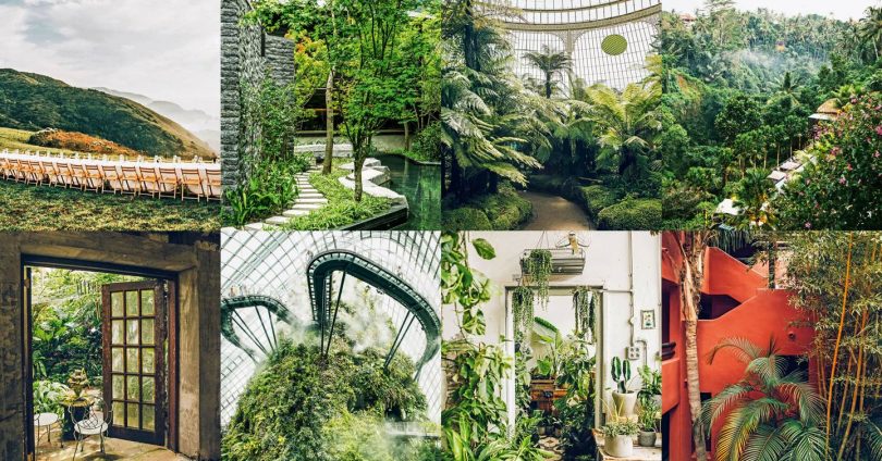 Plant-filled interiors inspiration from around the world