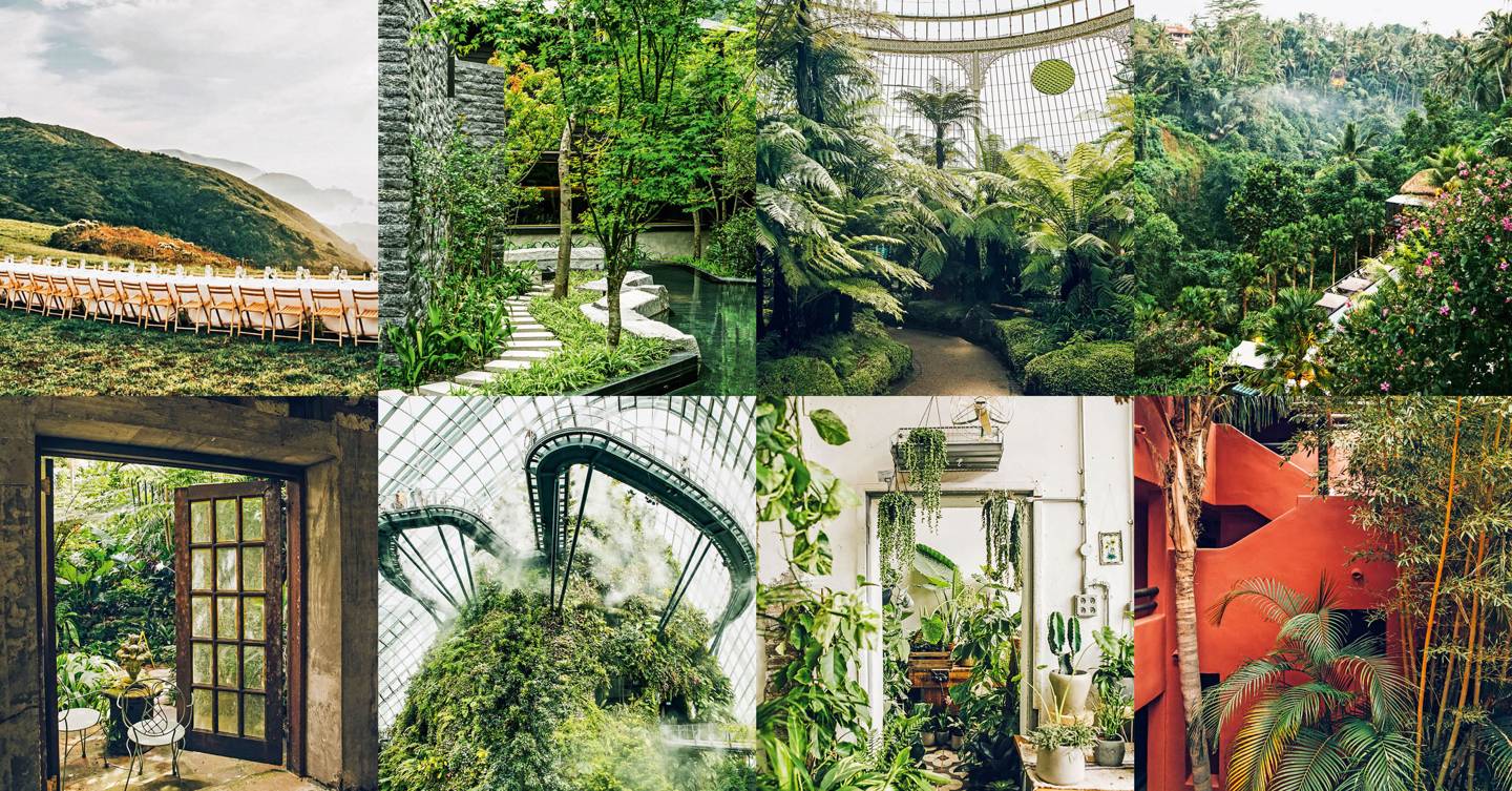 Plant-filled interiors inspiration from around the world