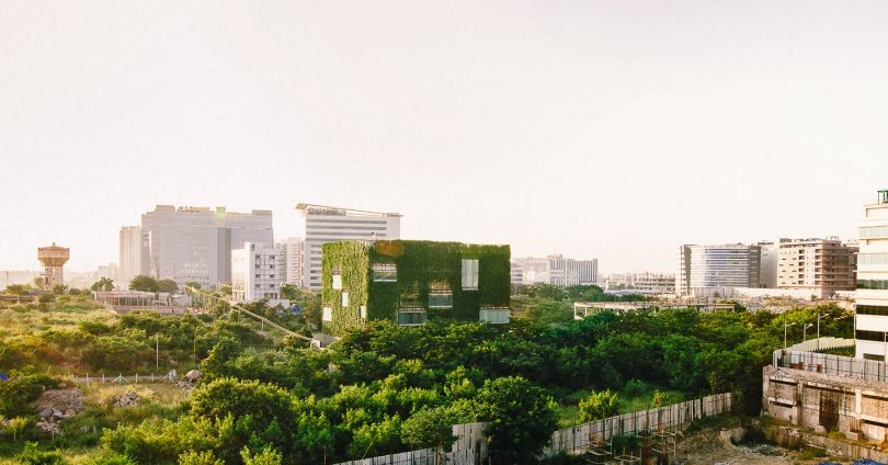 10 eco initiatives for greener city living