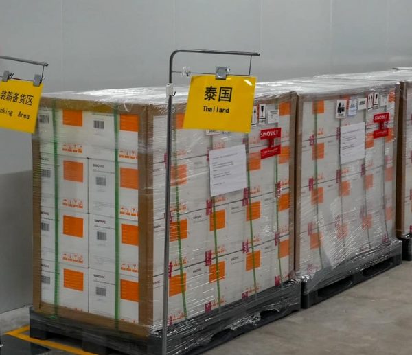 Public health minister confirms Sinovac vaccines to arrive on Wednesday