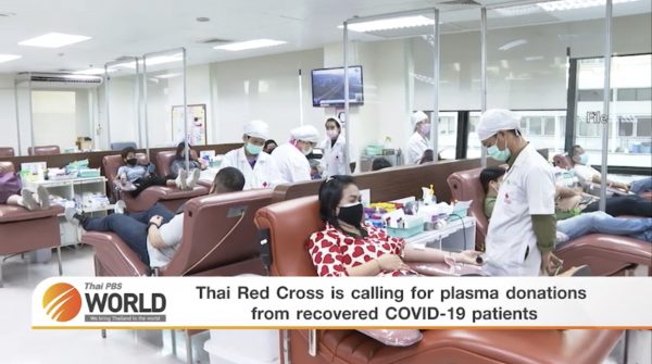 Thai Red Cross is calling for plasma donations from recovered COVID-19 patients – Thai PBS World Tonight [2nd February 2021]