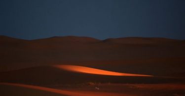 Luxury oasis draws elite Saudis locked in by pandemic