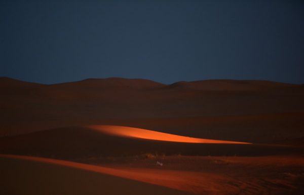 Luxury oasis draws elite Saudis locked in by pandemic