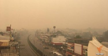 255,000 people have received treatment for nose and eye irritation caused by pollution 