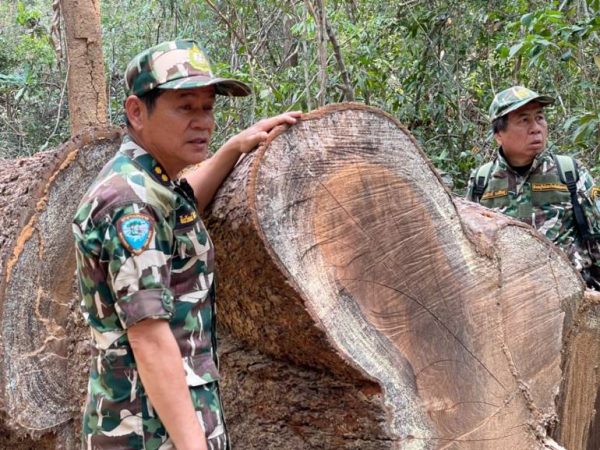 Thai and Cambodian forces in tense stand-off over illegally felled logs