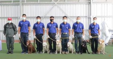 Trained sniffer dogs to be sent to airport to detect asymptomatic COVID-19 cases