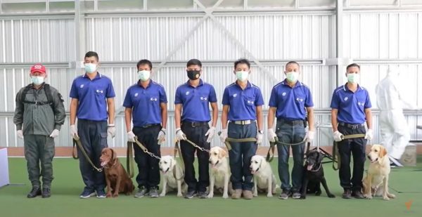 Trained sniffer dogs to be sent to airport to detect asymptomatic COVID-19 cases