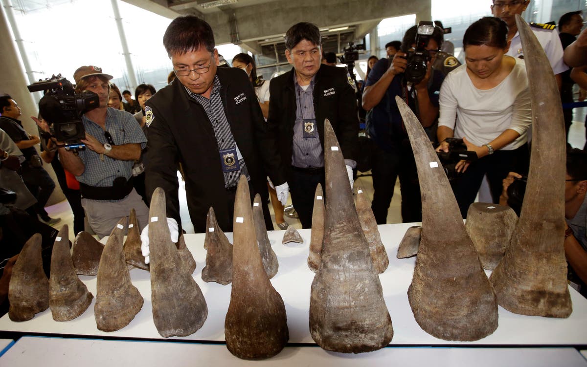 Thailand says M seized in wildlife trafficking sting Bangkok Thailand Laos Vietnamese