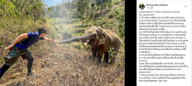 “หมอล็อต” โพสต์ภาพประทับใจ เจอช้างป่าที่เคยรักษา ผ่านมา 12 ปี ยังจำกันได้