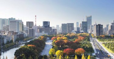 Six reasons to visit Tokyo