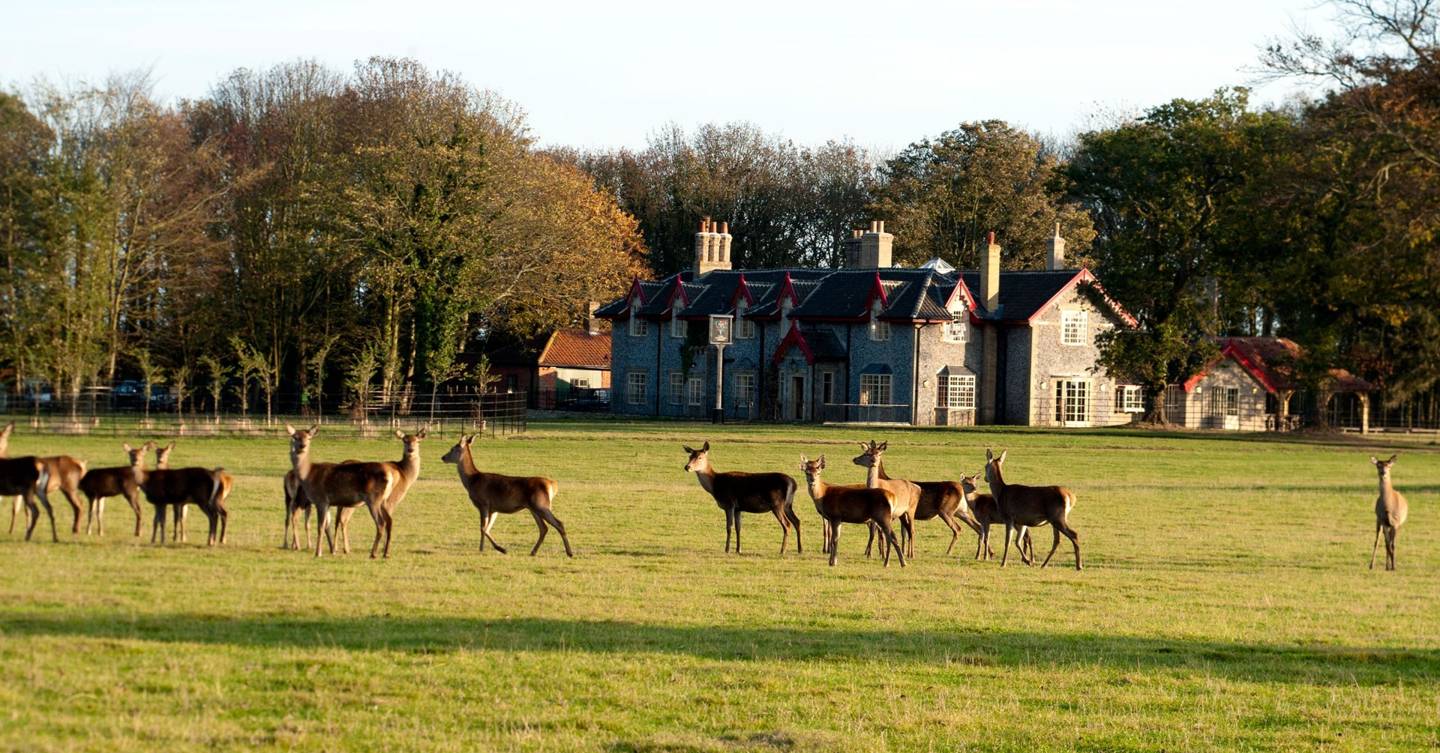 The Gunton Arms: Norfolk’s loveliest restaurant-with-rooms