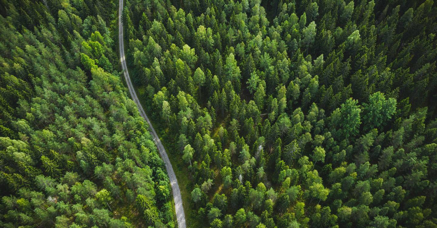 9 travel companies for eco-concious travellers