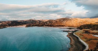 The 8 best safaris to take in the UK