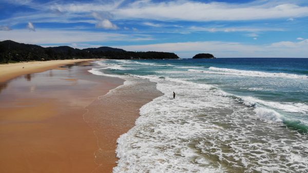 First foreign tourists in over a year arrive in Phuket
