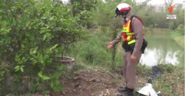 A special kind of traffic cop in Phetchabun, keeping dead dogs off the road