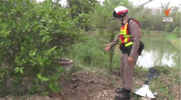 A special kind of traffic cop in Phetchabun, keeping dead dogs off the road