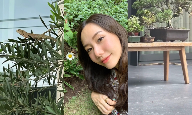 อย่างอึ้ง “เต้ย จรินทร์พร” นี่บ้านหรือสวนสัตว์ งู แมงมุม กิ้งก่า รวมตัวเหมือนนัดกันมา (คลิป)