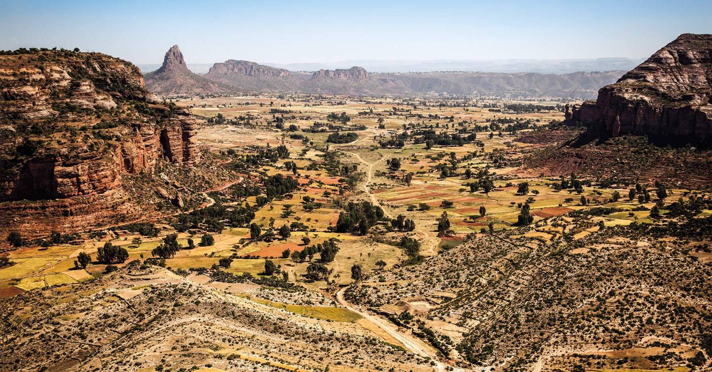 Meet the African-based project helping save the environment