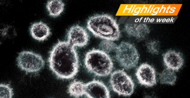 Virus against humans: advantages and disadvantages