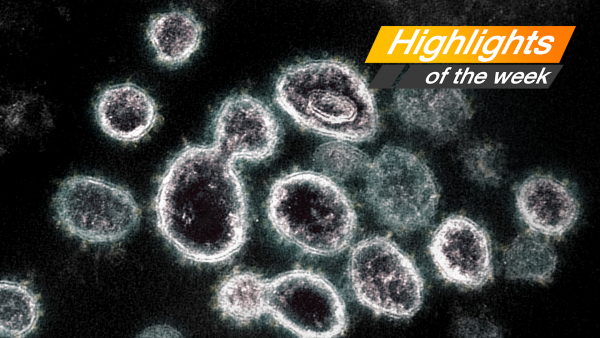 Virus against humans: advantages and disadvantages
