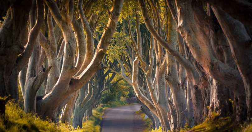 8 Northern Ireland road trip ideas for exploring the sights